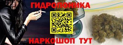 спиды Дубна