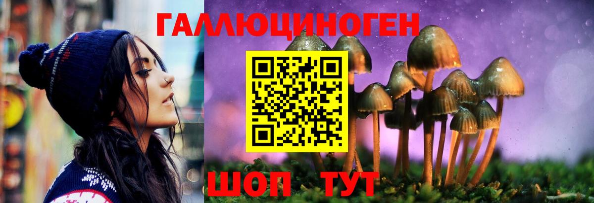 Галлюциногенные грибы GOLDEN TEACHER  купить наркоту  Псилоцибиновые грибы Magic Shrooms  Котельники  Вход с VPN 